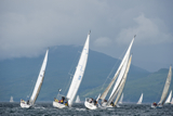 whyw13 tue 2459
